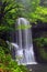 Waterfalls through tree