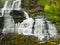 Waterfalls, Water Cascades, Forest Falls