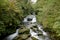 Waterfalls at Watersmeet, Lynmouth, Exmoor, North Devon