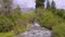 Waterflow of river with green bushes and Tian Shan mountains on background