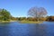 Waterfowl Lake in Showa Kinen Park