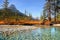 Waterfowl lakes in Banff national park