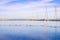 Waterfowl on the ponds of south San Francisco bay, Mountain View, California