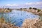 Waterfowl swimming on waterways in south San Francisco bay, Sunnyvale, California