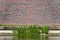 Waterfront building with sidewalk, brick wall and reed