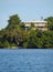 Waterfront Caribbean hotel and tropical vegetation