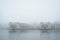 Waterfront residences  in fog, at the Inner Harbor in Baltimore, Maryland