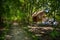 Waterfront thatched hut in the rainforests of Marovo Lagoon in the Solomon Islands.