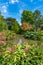 Watergarden at Christchurch Botanic garden in New Zealand