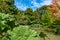 Watergarden at Christchurch Botanic garden in New Zealand