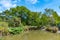 Watergarden at Christchurch Botanic garden in New Zealand