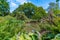 Watergarden at Christchurch Botanic garden in New Zealand