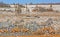 A waterhole in Etosha National Park teeming with wildlife