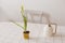 Watering can and daffodil in a pot. Gardening, Spring and Easter concept