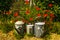 The watering can family in a sunny garden surrounded by red poppies