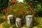 The watering can family in a sunny garden surrounded by red poppies