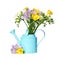 Watering can with fresh freesia flowers isolated