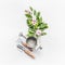 Watering can with gardening tools and green bunch of twigs with blossom decoration