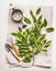 Watering can with gardening tools and green bunch of twigs on paper and desk background