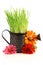 Watering can with grass & flowers