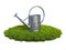 Watering can on grass, shiny aluminum gardening tool 3d rendering