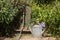 Watering can, hose and fountain in a garden