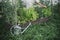 Watering can and raised garden bed with salad, chard and snap peas. Homestead lifestyle. Growing home grown vegetables and salad