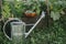 Watering can and raised garden bed with salad, chard and snap peas. Homestead lifestyle. Growing home grown vegetables and salad