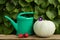 Watering Can, Red Apples And Ripe Pumpkin