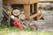 watering can and shovel lying on grass near barn in garden. concept of gardening, horticulture and farming