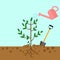 Watering can sprays water drops. New plant, sprout, sapling with shovel, spade isolated on background. Gardening, planting process