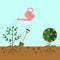 Watering can sprays water drops. New plant, sprout, sapling with shovel, spade isolated on background. Gardening, planting process