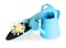 Watering can with trowel and flower on white