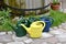 Watering cans standing  in the garden