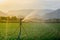 Watering corn field in agricultural garden by water springe