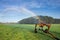 Watering a field