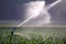 Watering a Field of Corn