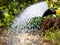 Watering flowers in the garden with a yellow watering can. Close up on water pouring from watering, garden work pour water.