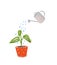 Watering of home plant with green leaves in orangle pot. Hand drawn illustration of home gardening, symbol of care and