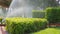 Watering the lawn in the spray of an automatic irrigation system