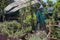 Watering in the organic vegetable garden