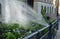 Watering in the park using a yellow hose spraying water on a flower bed is leaning against a fancy historic fence of gray color mo