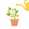 Watering the plant on which the money grows, retirement plan, investment, finance success concept