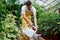 Watering plants. Portrait of attractive bearded male farmer working in a greenhouse