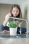 Watering pot plants in the kitchen sink pouring. Kid holding young plant in hands. Earth day concept. Eco friendly.  Save the