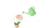 Watering pots sprinkle water to plants and brain.3D illustration