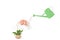 Watering pots sprinkle water to plants and brain. 3D illustration