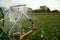 Watering process in a green field