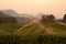 Watering Rice Field