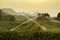 Watering rice field